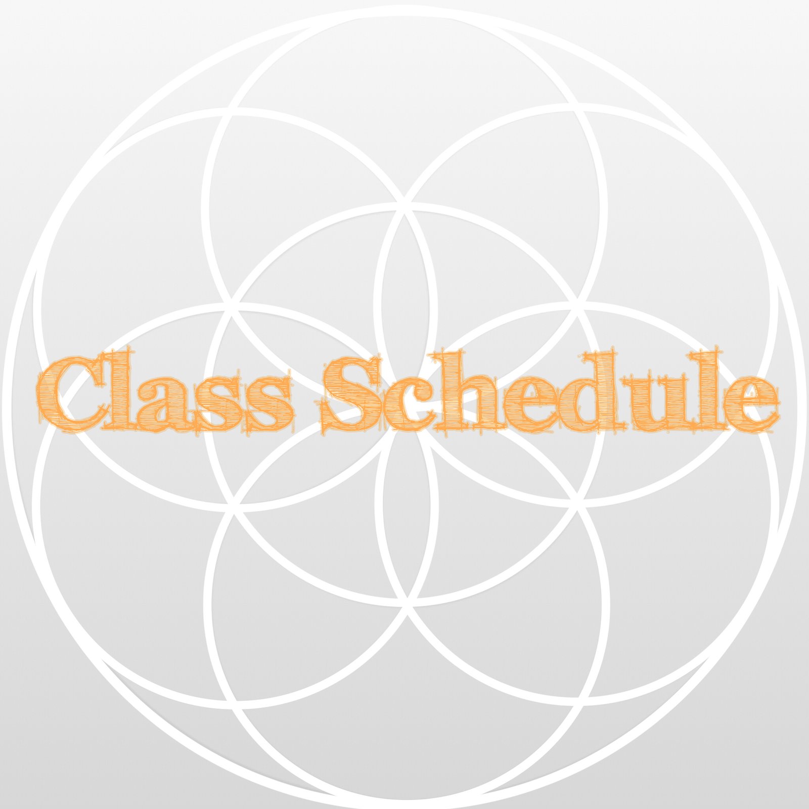 Class Schedule